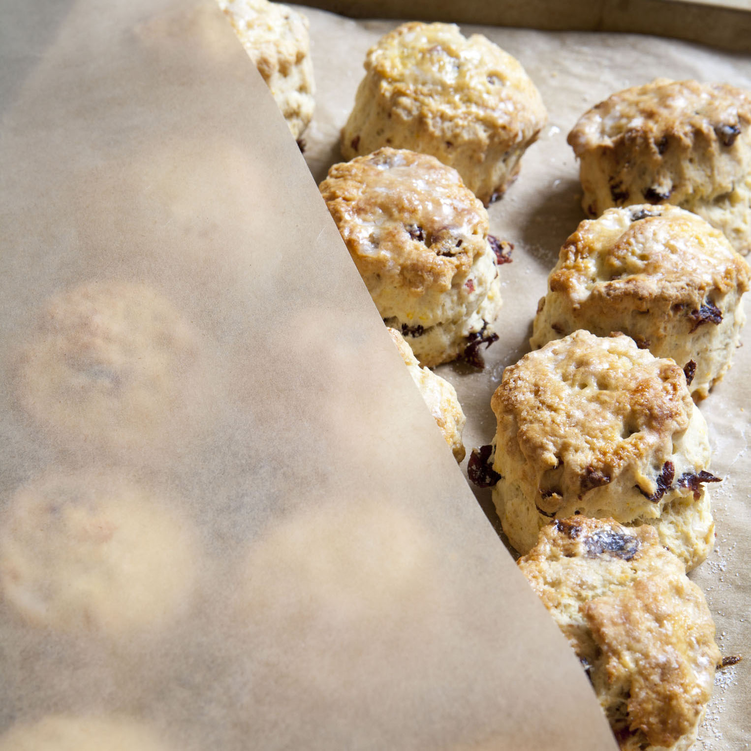 ghi-spenj00739 (2).jpg